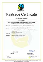 Certificates Of Bio Herb Egypt For Export